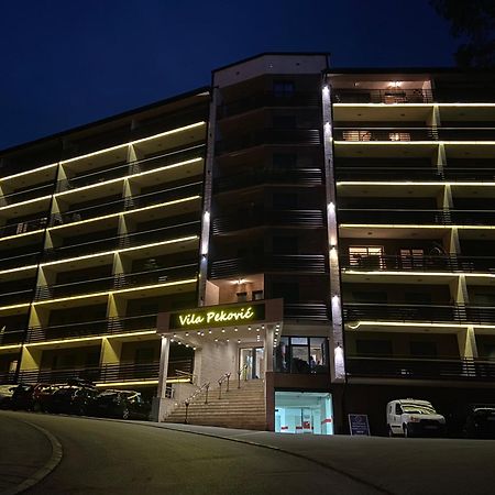 Apartment Pino Bianco 1 - Vila Pekovic Zlatibor Kültér fotó