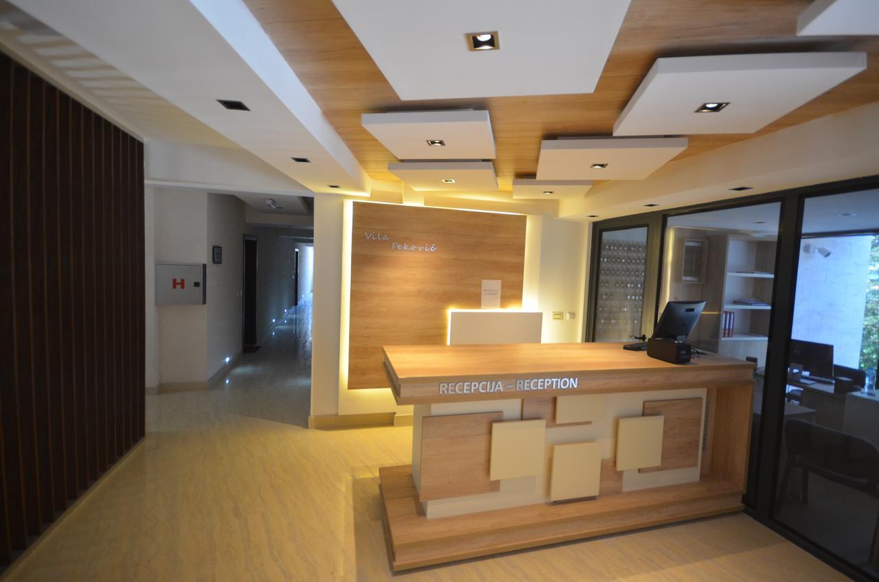 Apartment Pino Bianco 1 - Vila Pekovic Zlatibor Kültér fotó